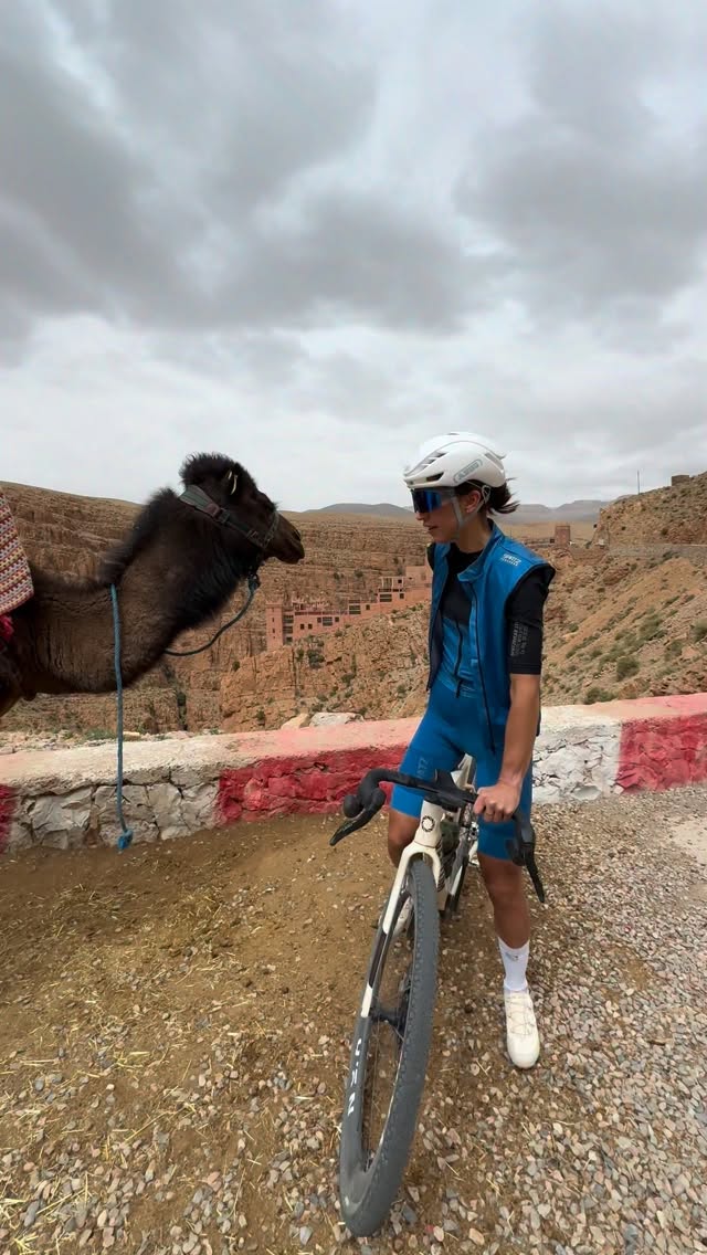Morocco wildlife